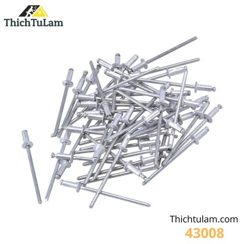 Túi đinh 50 Đinh Rive 3.2x10mm Tolsen 43008